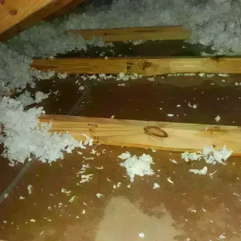 Attic Water Damage in Del Mar, CA